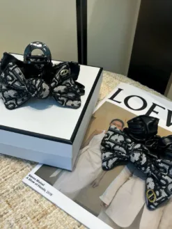 DIOR Hair Accessories E020260503617449