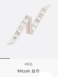 DIOR Scarves D520260504419949