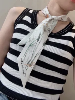 DIOR Scarves E020260504140349