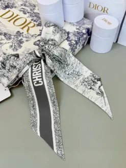 Alternative view of DIOR Scarves E020260504311349
