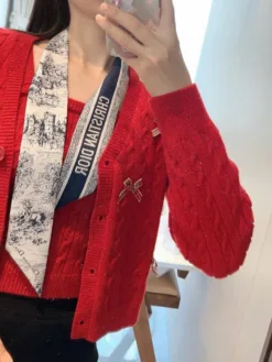 DIOR Scarves E020260504349549