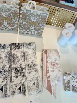 Alternative view of DIOR Scarves E020260504349549