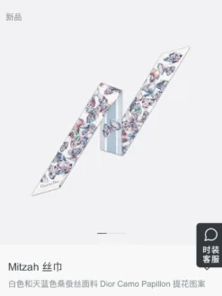 DIOR Scarves E020260504349649