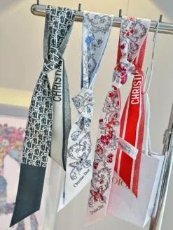 DIOR Scarves E020260504619849