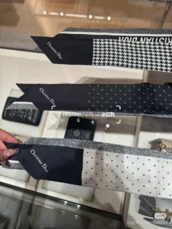 DIOR Scarves E020260504727849