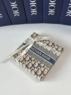 DIOR Socks E020260503318949