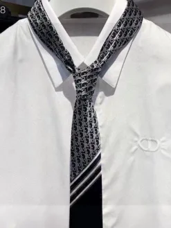 DIOR Ties E020260504560449