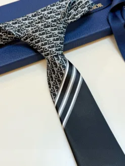 Alternative view of DIOR Ties E020260504560449