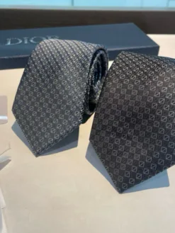 DIOR Ties E020260504937449