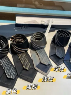 DIOR Ties E020260504984449