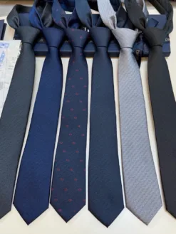 Alternative view of DIOR Ties F0202605041082049