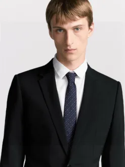 DIOR Ties F020260504621249