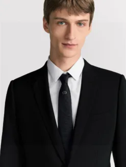 DIOR Ties F020260504675349
