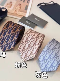 DIOR Ties F020260504729649