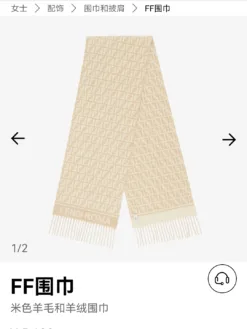 FENDI Scarves A1520260504142969