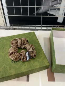 GUCCI Hair Accessories D020260503294149