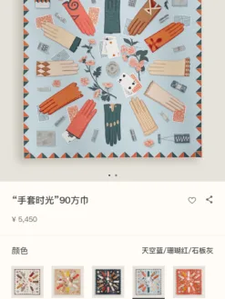 HERMES Gloves A1520260504505169