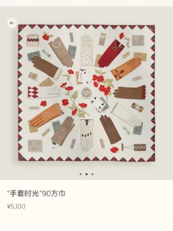 HERMES Gloves A4520260504186879