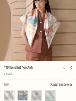 HERMES Scarves A1520260504557769