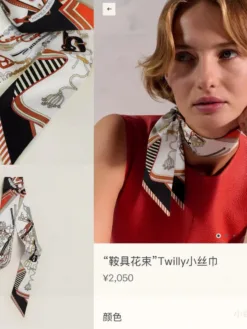 HERMES Scarves D5202605041021049