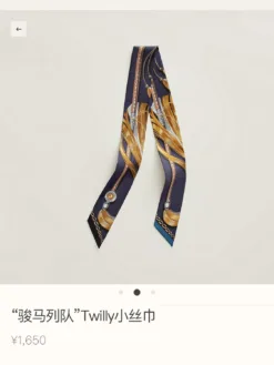 HERMES Scarves D520260504781249