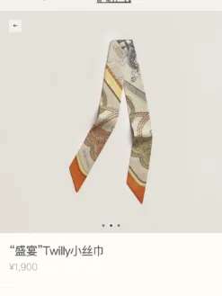 HERMES Scarves D520260504979249