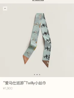 HERMES Scarves D520260504979349