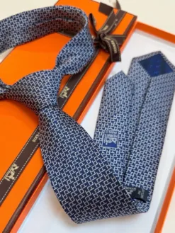 Alternative view of HERMES Ties E020260504560349