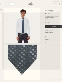 HERMES Ties E020260504675249