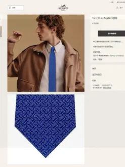 HERMES Ties E020260504877849
