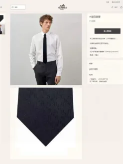 HERMES Ties E020260504983749