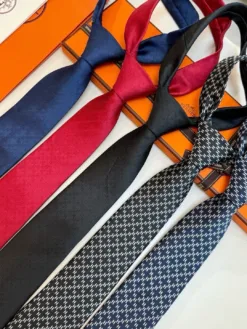 Alternative view of HERMES Ties E020260504983749