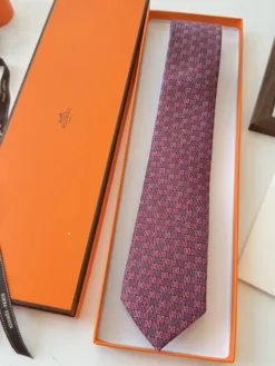 Alternative view of HERMES Ties F020260504047549