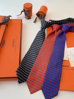 HERMES Ties F0202605041082949