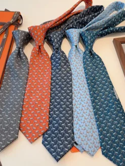 Alternative view of HERMES Ties F020260504648049
