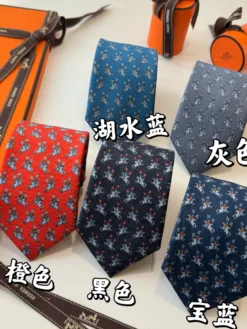 HERMES Ties F020260504937649