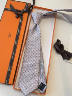 Alternative view of HERMES Ties F020260504984549