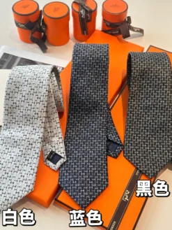 HERMES Ties F020260504984849