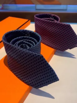 HERMES Ties F020260504985249