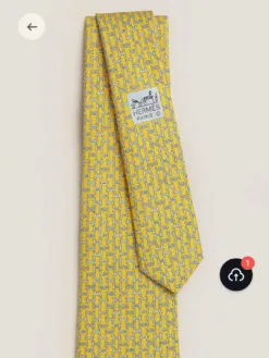HERMES Ties F020260504985349