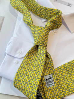 Alternative view of HERMES Ties F020260504985349