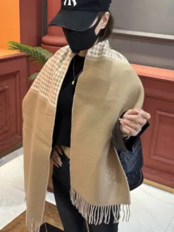 LOEWE Scarves A2520260504274369