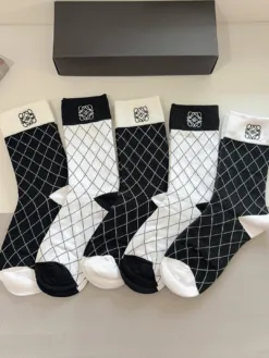 LOEWE Socks E020260503182449