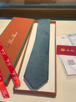 Alternative view of LORO PIANA Ties F020260504149149