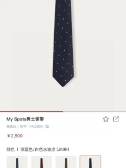 LORO PIANA Ties G5202605041028259