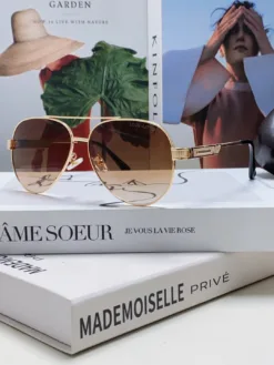 LV Glasses & Sunglasses H020260504729859