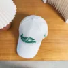 LV Hats & Caps D220260503030249