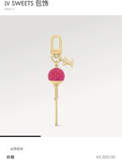 LV Keyrings & Chains G520260503283259