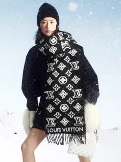 Alternative view of LV Scarves A85202605041023589