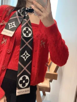 LV Scarves E020260504531449